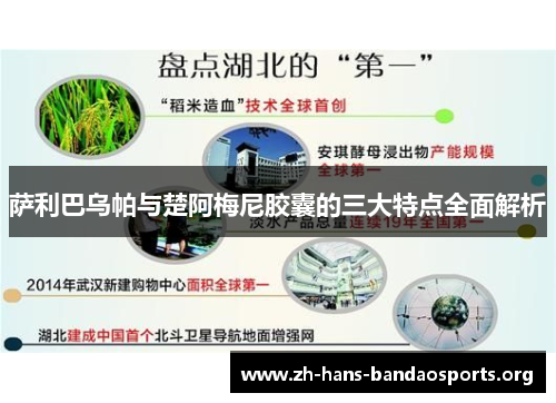 萨利巴乌帕与楚阿梅尼胶囊的三大特点全面解析 萨利巴乌帕与楚阿梅尼胶囊的三大特点全面解析