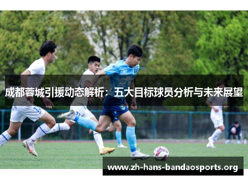 成都蓉城引援动态解析:五大目标球员分析与未来展望 成都蓉城引援动态解析:五大目标球员分析与未来展望