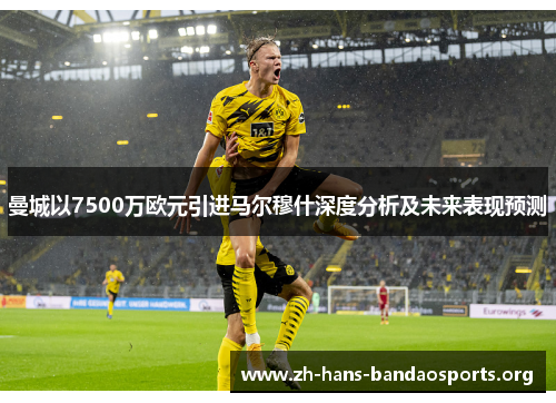 曼城以7500万欧元引进马尔穆什深度分析及未来表现预测 曼城以7500万欧元引进马尔穆什深度分析及未来表现预测