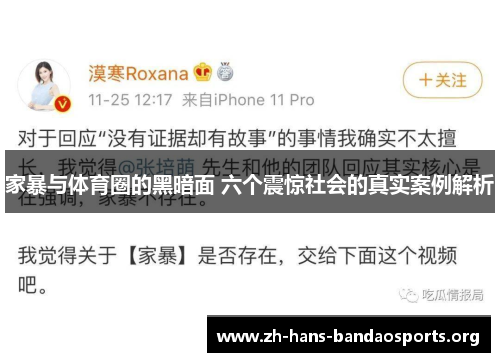 家暴与体育圈的黑暗面 六个震惊社会的真实案例解析