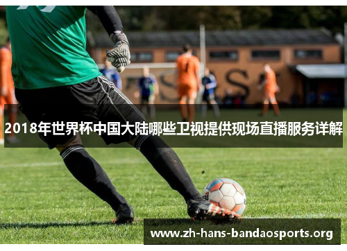 2018年世界杯中国大陆哪些卫视提供现场直播服务详解 2018年世界杯中国大陆哪些卫视提供现场直播服务详解