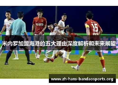 米内罗加盟海港的五大理由深度解析和未来展望 米内罗加盟海港的五大理由深度解析和未来展望