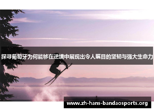 探寻葡萄牙为何能够在逆境中展现出令人瞩目的坚韧与强大生命力 探寻葡萄牙为何能够在逆境中展现出令人瞩目的坚韧与强大生命力