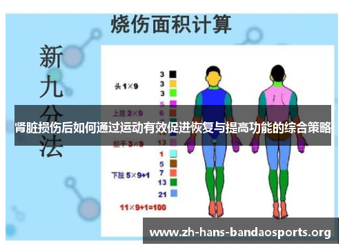 肾脏损伤后如何通过运动有效促进恢复与提高功能的综合策略 肾脏损伤后如何通过运动有效促进恢复与提高功能的综合策略