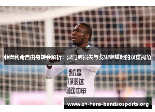 菲奥利奇自由身转会解析:津门虎损失与戈里察崛起的双重视角 菲奥利奇自由身转会解析:津门虎损失与戈里察崛起的双重视角