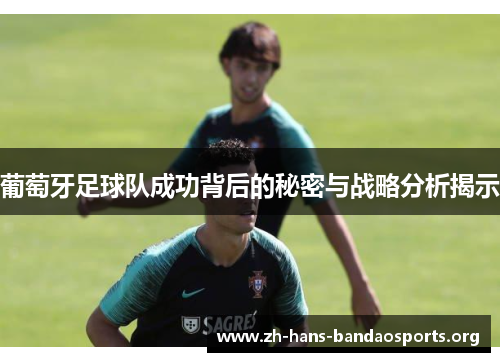 葡萄牙足球队成功背后的秘密与战略分析揭示 葡萄牙足球队成功背后的秘密与战略分析揭示